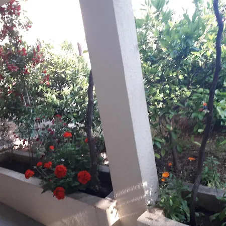 Apartments Petkovic Petrovac Exterior photo