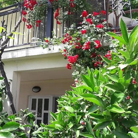 Apartments Petkovic Petrovac Exterior photo