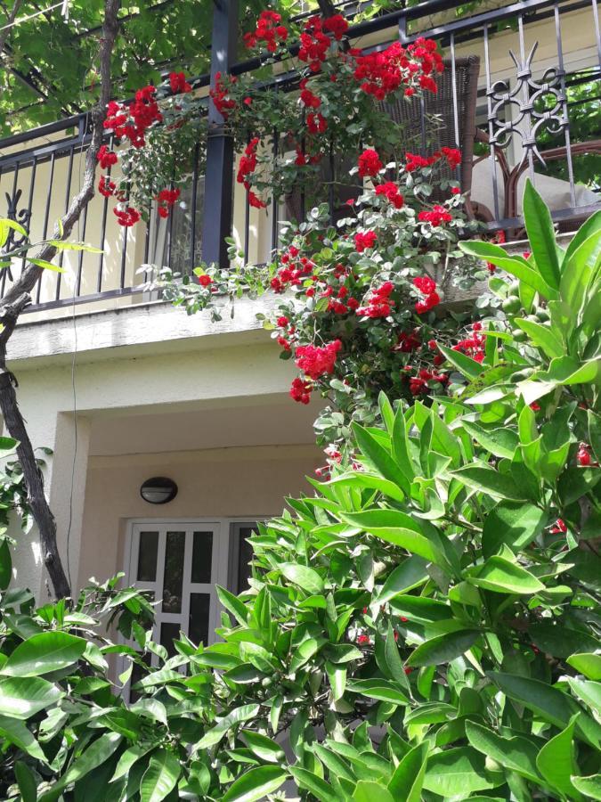 Petkovic Apartman Petrovac