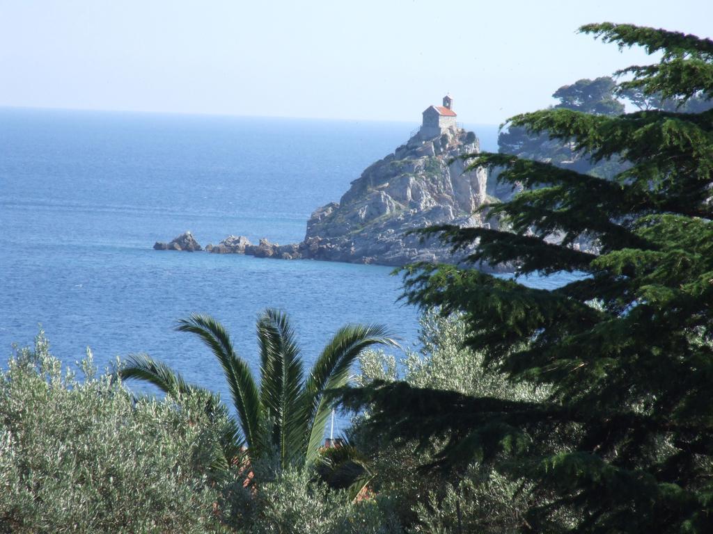 Apartman Petkovic