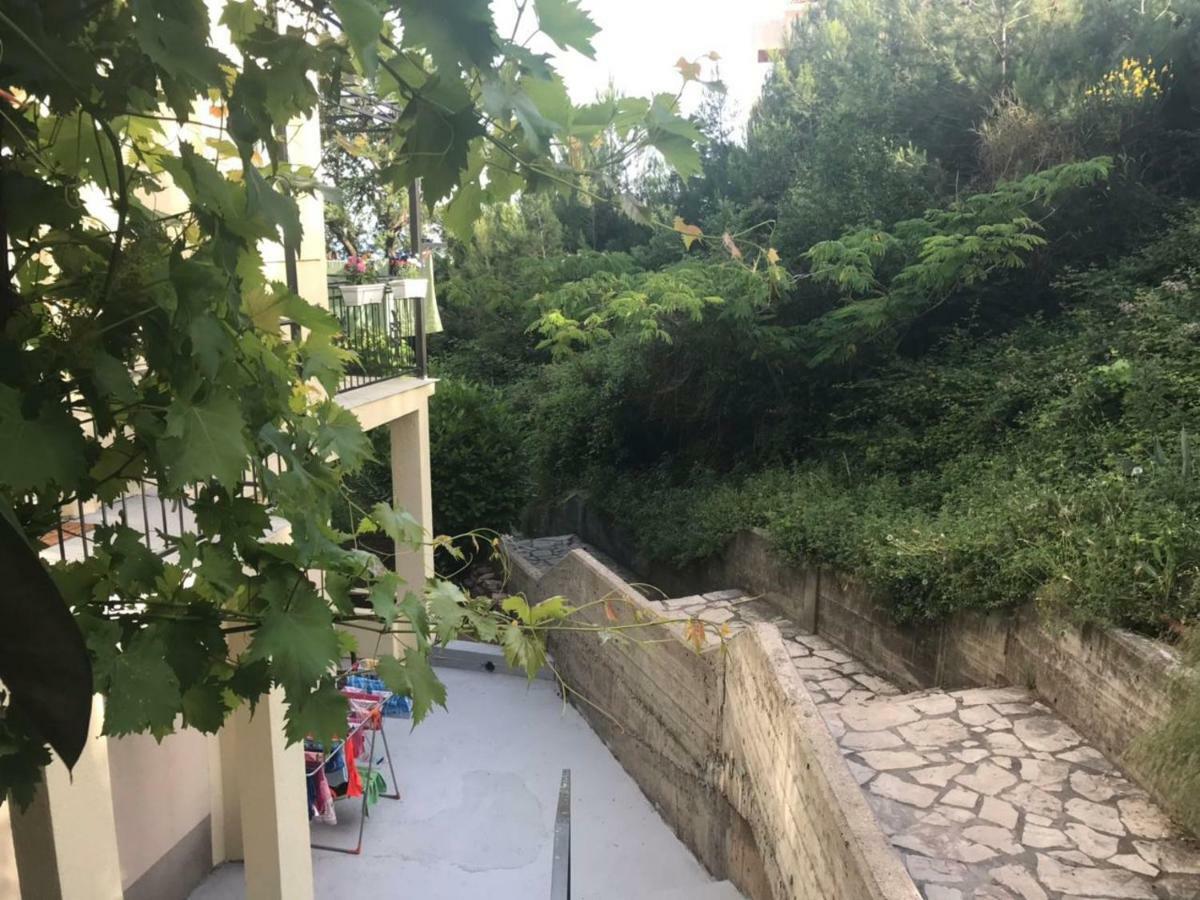 Petkovic Apartman